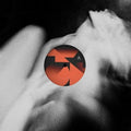 the album cover for Metavari - Symmetri / O.S.T. [Limited Edition] [Deluxe]