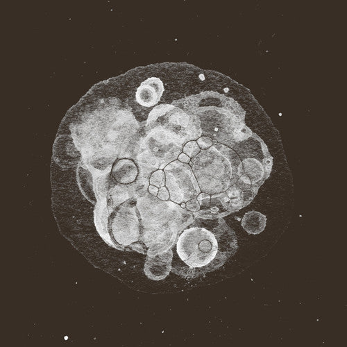the album cover for Rafael Toral - Moon Field