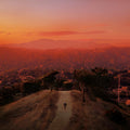 the album cover for FINNEAS - Blood Harmony [LP]