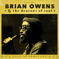 the album cover for Brian Owens - Soul Of Ferguson