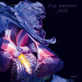 the album cover for Pop Ambient 2020 / Various - Pop Ambient 2020 (Various Artists)