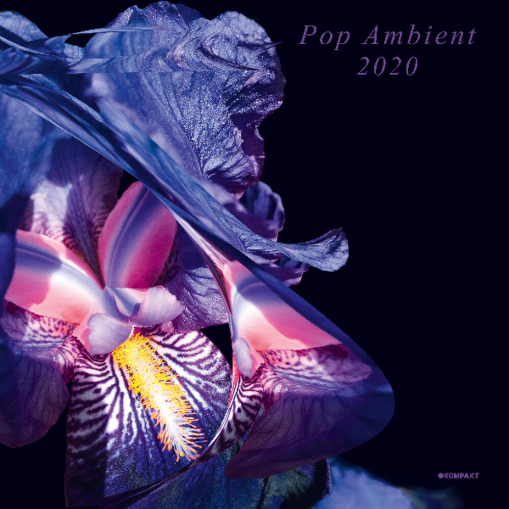 the album cover for Pop Ambient 2020 / Various 2pk - Pop Ambient 2020 (Various Artists)