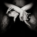 the album cover for Shining - X - Varg Utan Flock