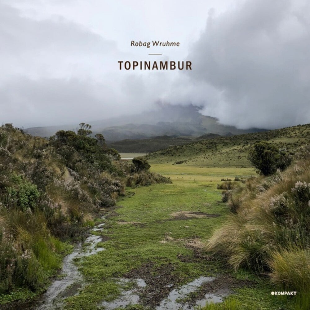 the album cover for Robag Wruhme - Topinambur