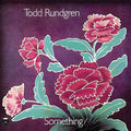 the album cover for Todd Rundgren - Something / Anything