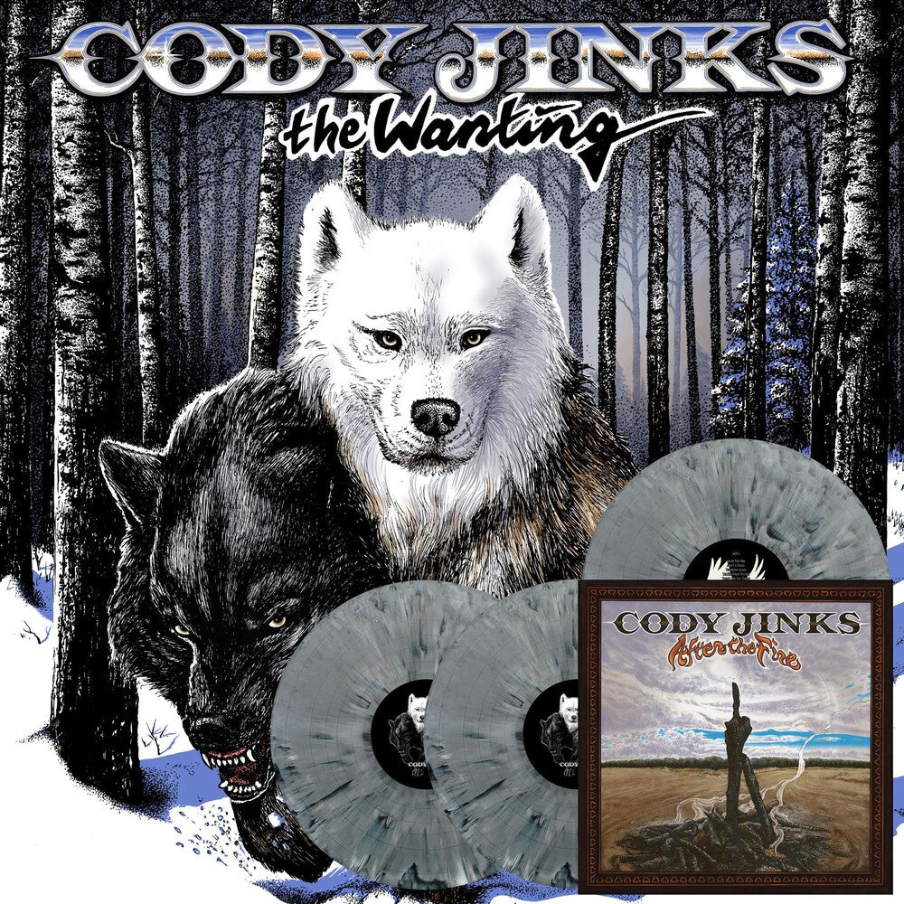 the album cover for Cody Jinks - Wanting After The Fire