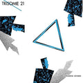 the album cover for Trisomie 21 - Passions Divisees