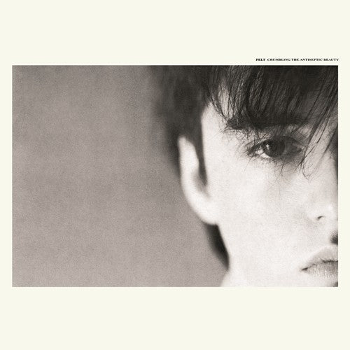 the album cover for Felt - Crumbling The Antiseptic Beauty (Gate) [Deluxe] (Uk)