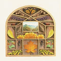 the album cover for Sarah Louise - Field Guide [LP]