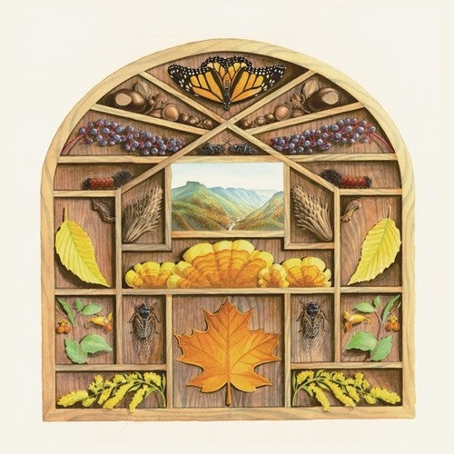 the album cover for Sarah Louise - Field Guide [LP]