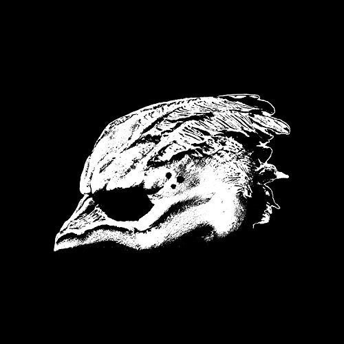 the album cover for Legend Of The Seagullmen - Legend Of The Seagullmen [LP]