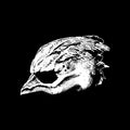 the album cover for Legend Of The Seagullmen - Legend Of The Seagullmen