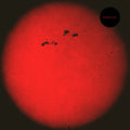 the album cover for S U R V I V E - HD015