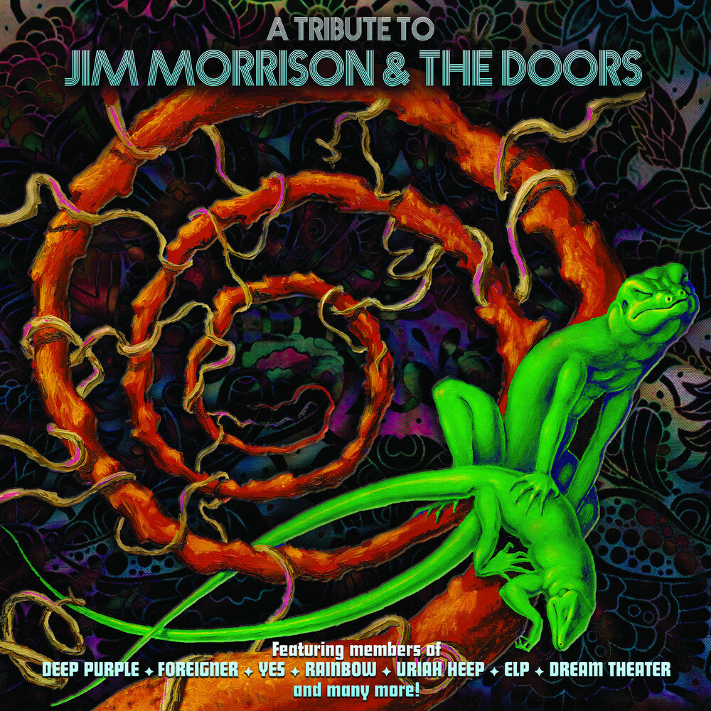 the album cover for Tribute To Jim Morrison & The Doors / Various - A Tribute To Jim Morrison & The Doors / Various