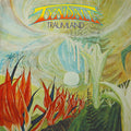 the album cover for Tyndall - Traumland