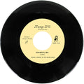 the album cover for Jason Joshua / The Beholders - Evangeline / Little Did I Know [Colored Vinyl]