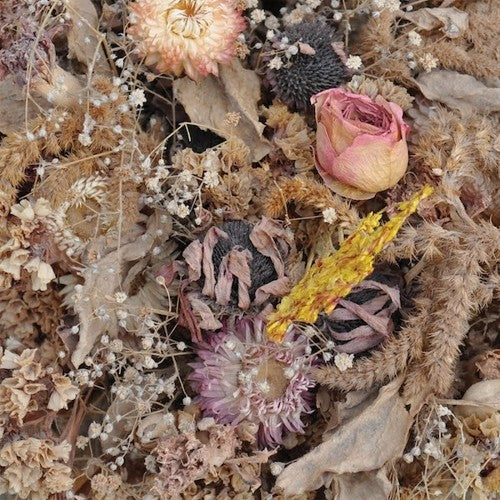the album cover for Drowse - Cold Air
