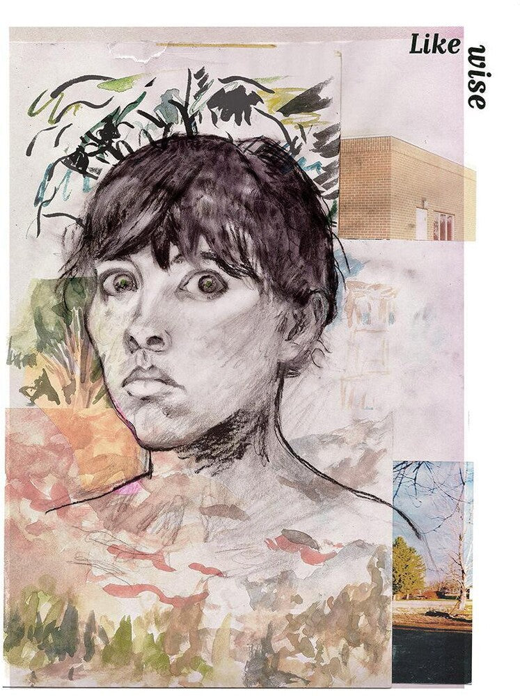 the album cover for Frances Quinlan - Likewise