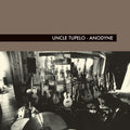 the album cover for Uncle Tupelo - Anodyne [SYEOR 2020 Clear LP]