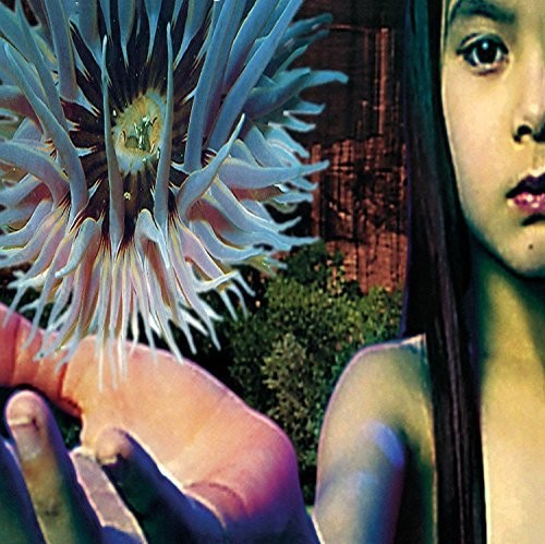 the album cover for Future Sound Of London - Lifeforms