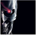 the album cover for Holkenborg, Tom / (Junkie Xl) - Terminator: Dark Fate (Music From the Motion Picture)