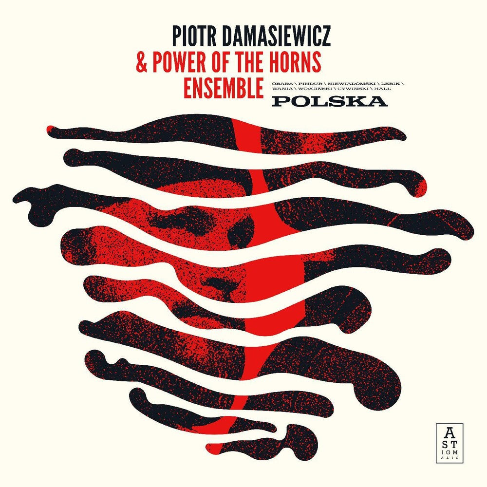 the album cover for Piotr Damasiewicz / Power Of The Horns Ensemble - Polska