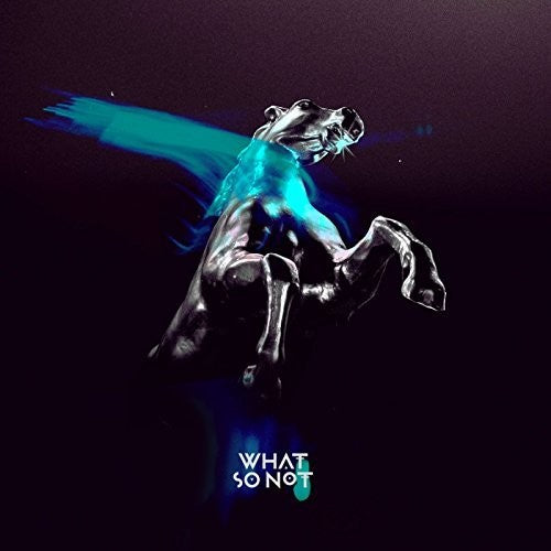 the album cover for What So Not - Not All The Beautiful Things