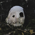 the album cover for Faceless - In Becoming A Ghost