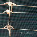 the album cover for The Messthetics - The Messthetics [LP]
