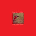 the album cover for Peter Lemer - Local Colour