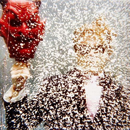 the album cover for Ty Segall - TY SEGALL