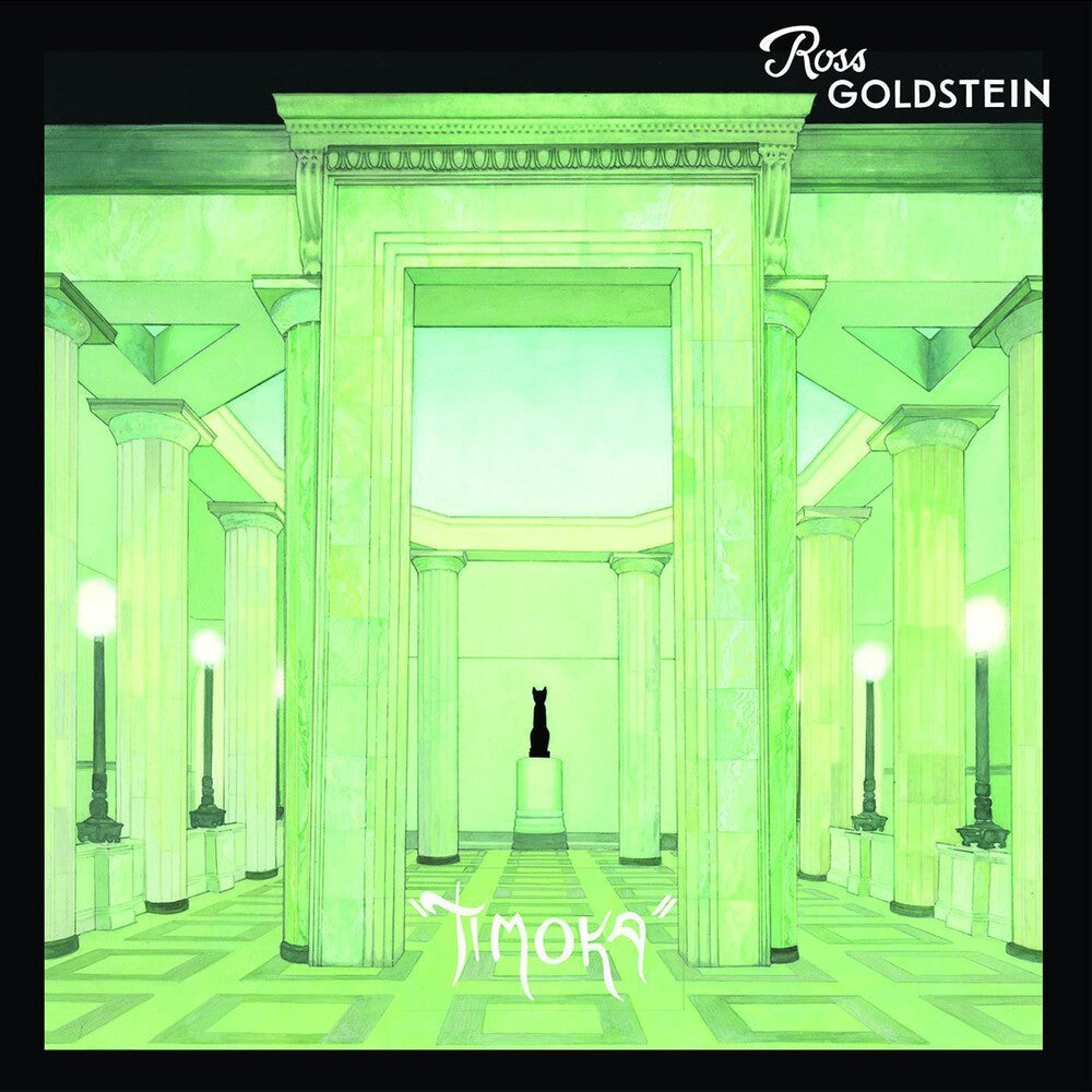 the album cover for Ross Goldstein - Timoka [Download Included]