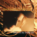 the album cover for Black Tape For A Blue Girl - Ashes In The Brittle Air [Remastered] [Digipak]