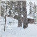 the album cover for Panopticon - Scars Of Man On The Once Nameless Part 1