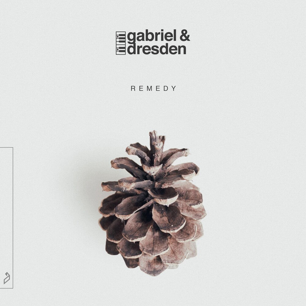 the album cover for Gabriel & Dresden - Remedy