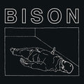 the album cover for Bison - One Thousand Needles