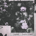 the album cover for Saudade - Shadows & Light / Sanctuary Dub