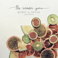 the album cover for The Wonder Years - Burst & Decay: Volume II EP [LP]