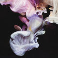 the album cover for Simian Mobile Disco - Murmurations