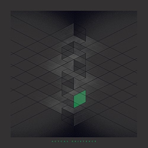 the album cover for RYLR - Actual Existence
