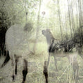 the album cover for Bart De Paepe - Pagus Wasiae [Download Included]