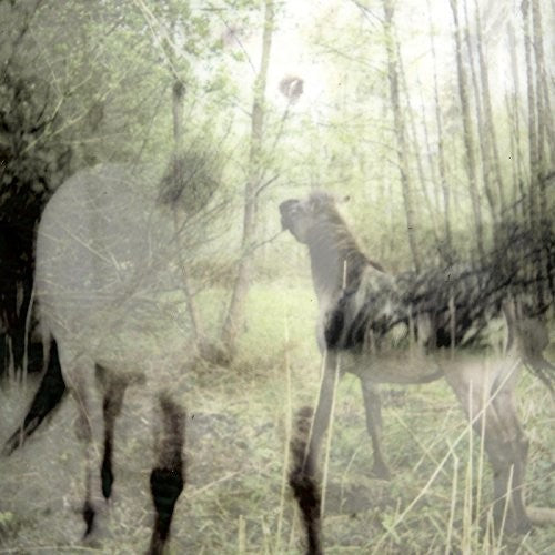 the album cover for Bart De Paepe - Pagus Wasiae [Download Included]