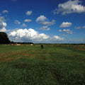 the album cover for Biosphere - The Hilvarenbeek Recordings
