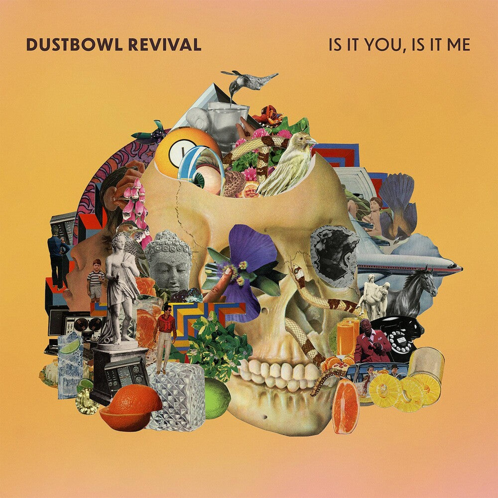 the album cover for Dustbowl Revival - Is It You, Is It Me [LP]