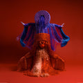 the album cover for Sotomayor - Origenes
