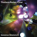 the album cover for Thollem / Parker / Cline - Gowanus Sessions II