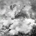 the album cover for Exitmusic - The Recognitions [LP]