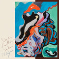 the album cover for Cloud Castle Lake - Malingerer