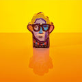 the album cover for Alexis Taylor - Beautiful Thing [2LP]
