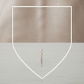 the album cover for Reuben and The Dark - Arms Of A Dream [LP]
